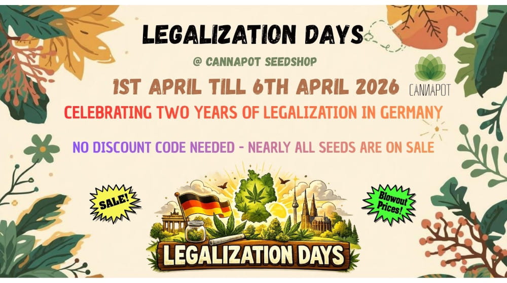 Index-Banner-Leaves_DE