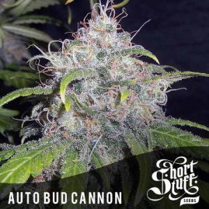 Auto Bud Cannon