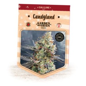 Candyland fem