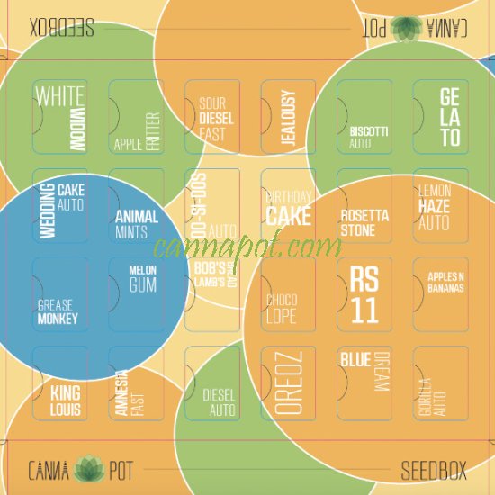 Cannapot Seedbox - zum Schließen ins Bild klicken