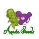 Anesia Cannabisseeds