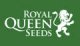 RQS - Royal Queen Seeds
