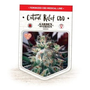 Critical Relief CBD fem