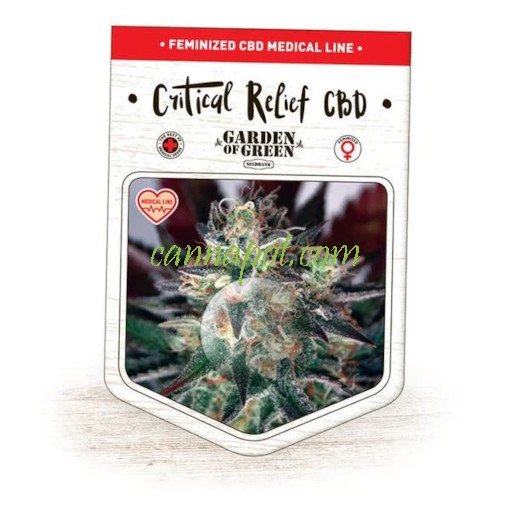 Critical Relief CBD fem - zum Schließen ins Bild klicken