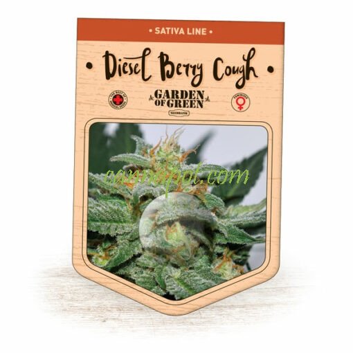 Diesel Berry Cough fem - zum Schließen ins Bild klicken