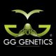 GG Genetics - Joesy Whales