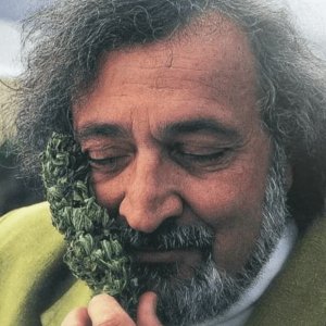 Jack Herer - der Aktivist - eine Hommage