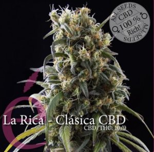 La Rica CBD female