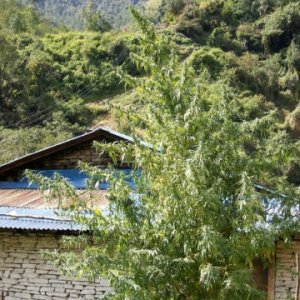 Nepal Annapurna