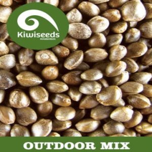 Outdoor Mix