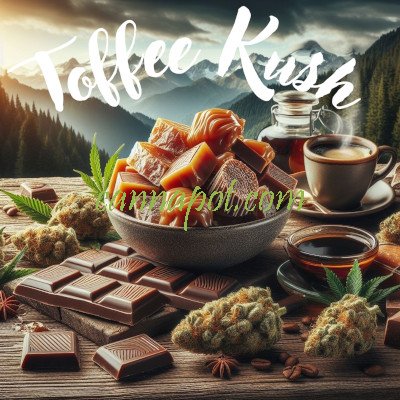 Toffee Kush - zum Schließen ins Bild klicken