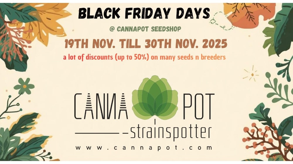 Index-Banner-Leaves_DE