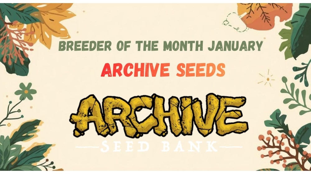 Index-Banner-Leaves_DE