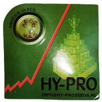 order amnesia hypro seeds online at cannapot
