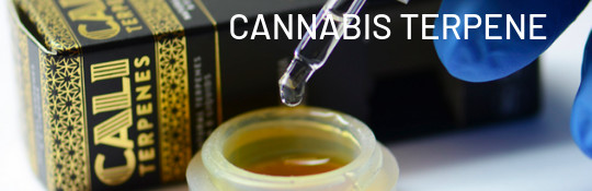 Comprar terpenos de cannabis online en Cannapot
